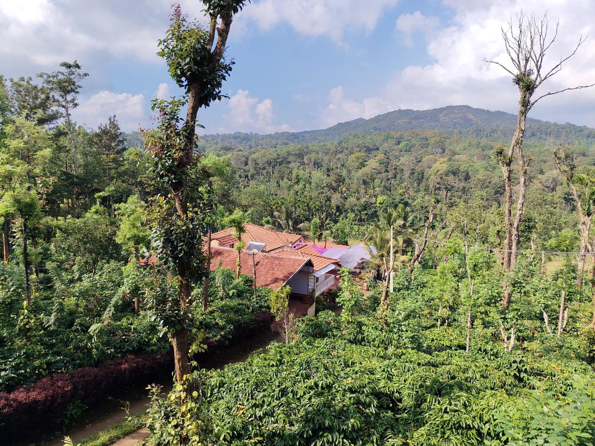 Shivalaya Homestay, Madikeri Siddāpur Exterior foto