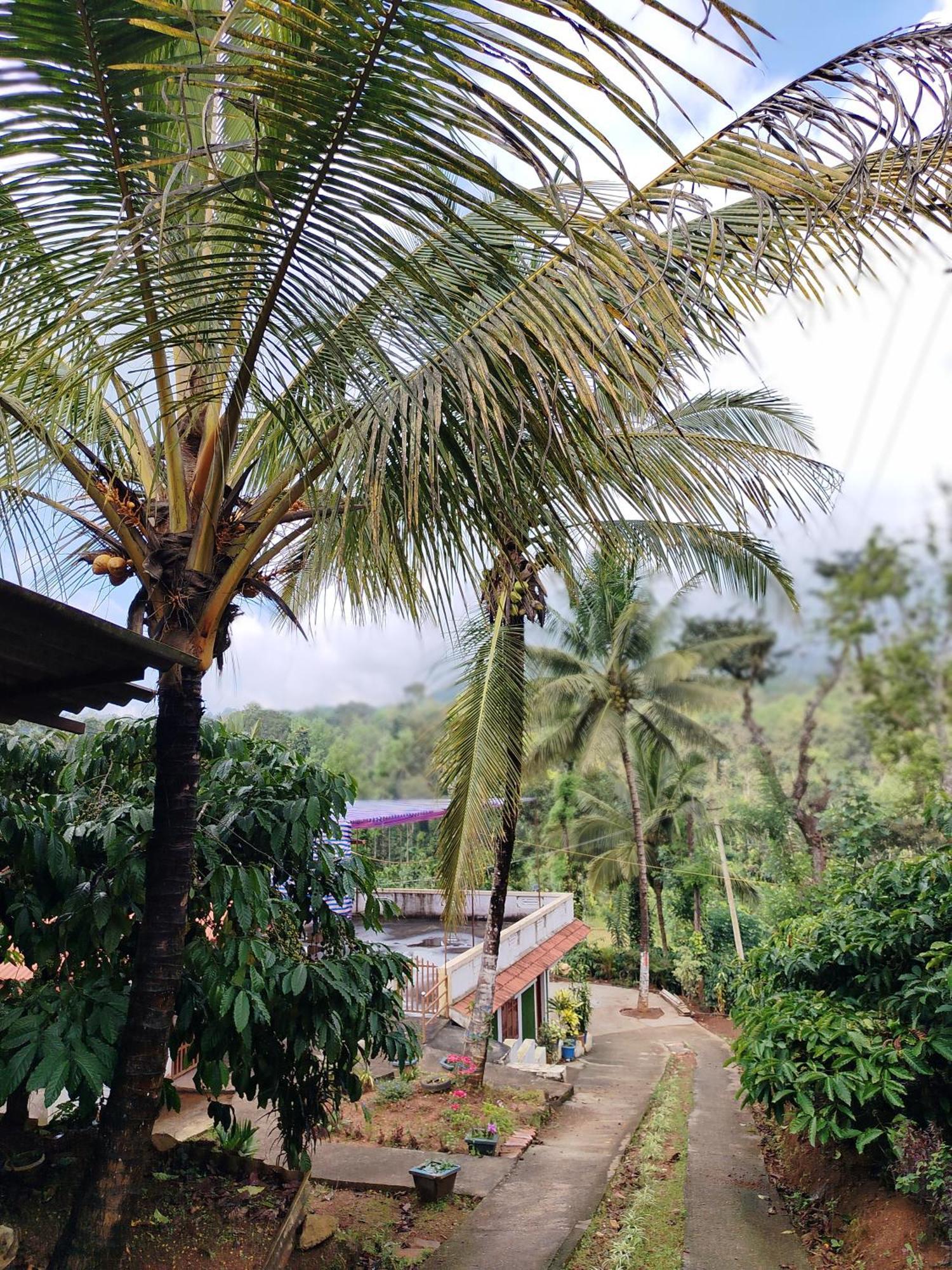 Shivalaya Homestay, Madikeri Siddāpur Exterior foto